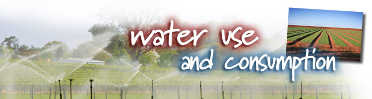 Water Use and Consumption