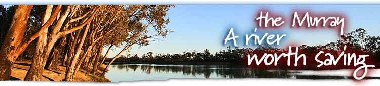 The Murray - A River Worth Saving