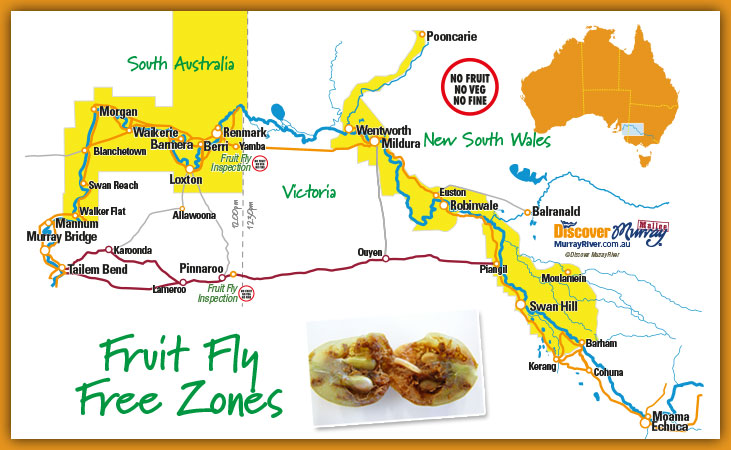 Fruit Fly Free Zone map