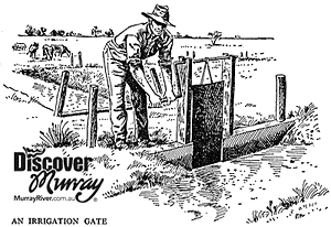 An Irrigation Gate