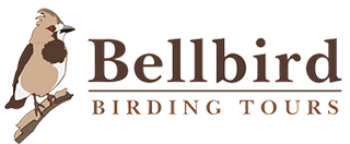 Bellbird Birding Tours