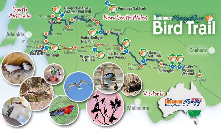 Discover Murray River Bird Trail map