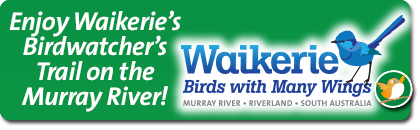 Waikerie Bird Watcher's Trail