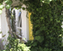 Glimpse of door through vines- Apartment 3