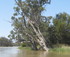 murray river 5 minutes away