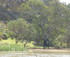 murray river 5 minutes away