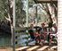 Deluxe cabins overlooking the Murrumbidgee River at the Balranald Caravan Park