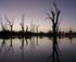 Backwaters of Renmark