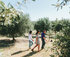 Wander through our Olive Groves and participate in tastings of locally grown produce