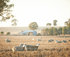 Mixed farming is an important industry for Rutherglen region