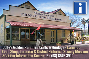 Dollys Golden Rain Tree Crafts & Heritage