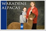 Waradene Alpacas