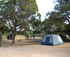 Camp out under the stars and by the river