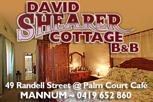 David Shearer Cottage B&B - Mannum logo