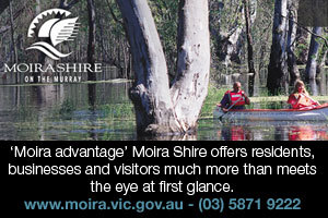 Moira Shire logo