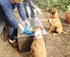 fur guests enjoying pancakes
