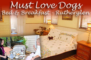 Must Love Dogs B&B