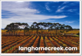 Langhorne Creek Wine Region