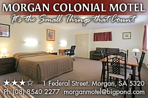 Morgan Colonial Motel logo