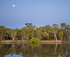 Murray River Frontage