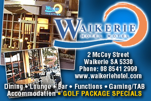 Waikerie Hotel Motel logo