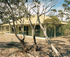 Riverbush Cottages