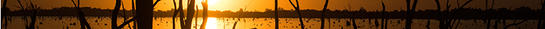 Contact Details and Location title bar