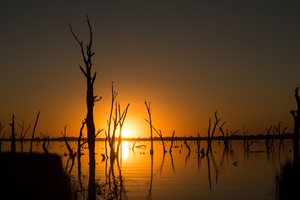 BIG4 NRMA Yarrawonga Mulwala Holiday Park logo