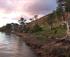 MORNING ON THE MURRAY