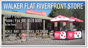 Walker Flat Riverfront Store