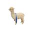 National Alpaca Week logo