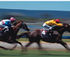 Australia Day Beach Party Race Day Murray Bridge Racing Club logo