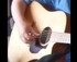 Lameroo Country Music Festival logo