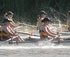 Mildura & Wentworth Rowing Regattas logo