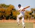 Mildura Willowfest Australian Cricket Championships logo