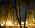 Riverboats Music Festival logo