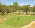 Coomealla Senior Golf Open Championships  logo