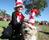 Paws in the Park logo