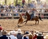 Man From Snowy River Bush Festival logo
