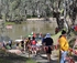 2010 Echuca Mini Marathon - 50km  logo