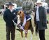 Robinvale / Euston Agricultural Show logo