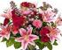Sunraysia Garden Club Autumn Show logo