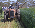 Riverland Hit 'N' Miss Rally logo