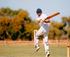 Willowfest Australian Cricket Club Championships logo