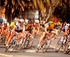 Tour of the Murray River Cycling Race logo