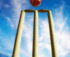 Willowfest Australian Cricket Club Championship logo