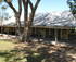Yanga Homestead Open Day logo