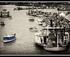 South Australian Wooden Boat Festival - River Port of Goolwa logo