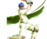 Australia Day Cricket Pinnaroo vs Murrayville logo