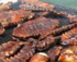 Berri Club Labour Day Weekend Barbecue logo